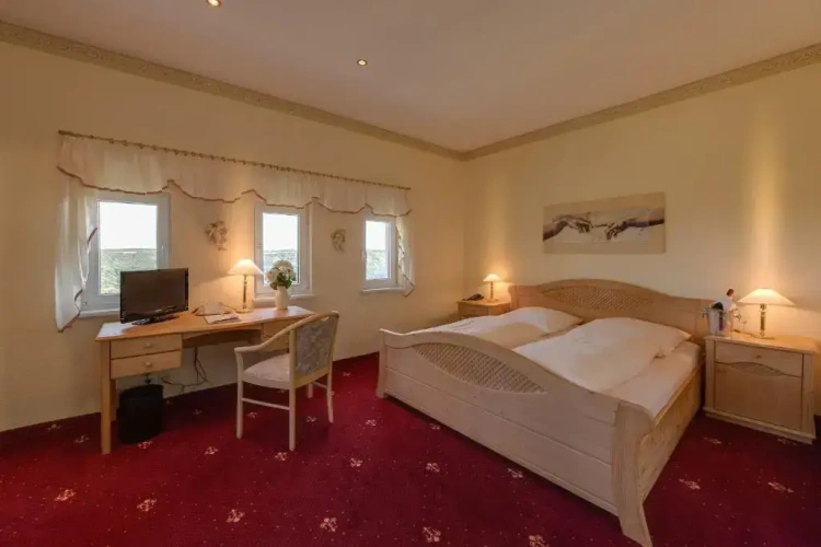 Standard Double room with panoramic view