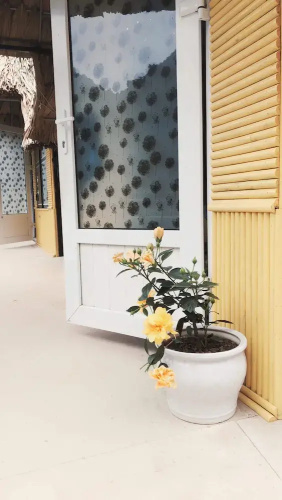 Hoi Lake Farmstay