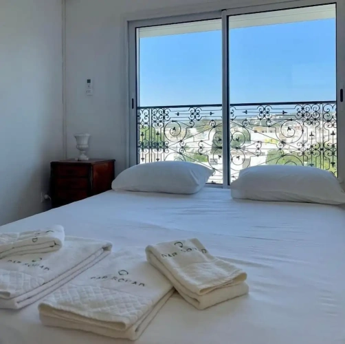 Standard Double room with balcony and with view