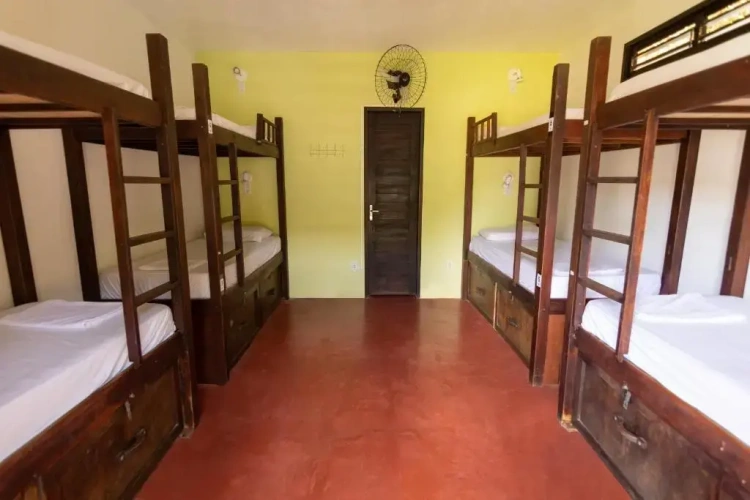 Bed in Dorm