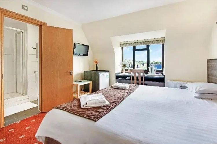 1 Bedroom Deluxe Double room