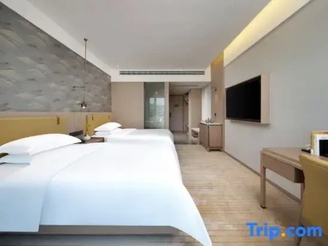 Executive Twin room
