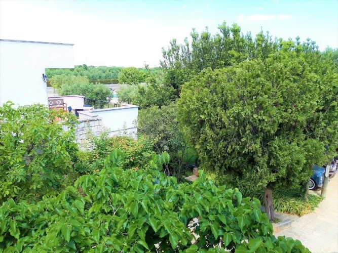 Standard Double room with courtyard view