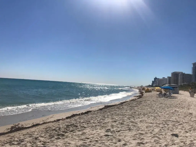411 Rents Miami