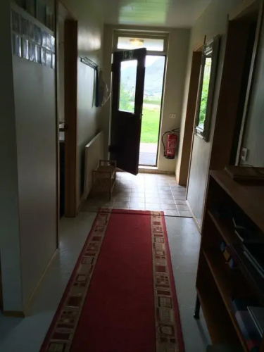 Hléskógar