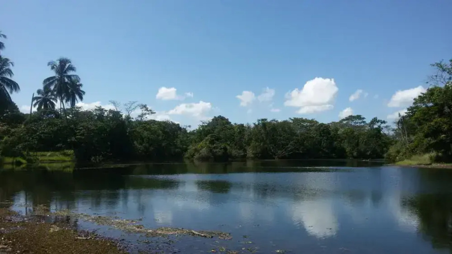 Green Gold Ecolodge