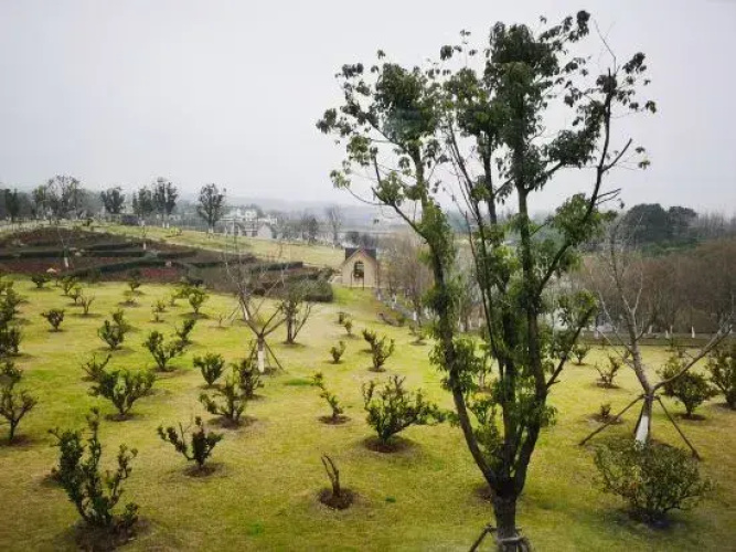 Longshan Shangxin Valley Resort