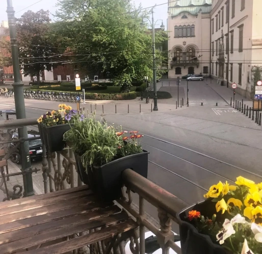 Standard Double room with balcony and with city view