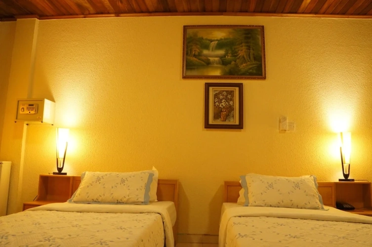 Executive Twin room