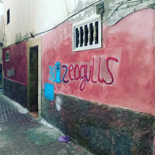 Seagulls Hostel