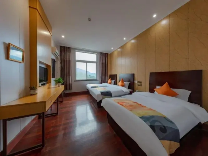 Standard Twin room with street view