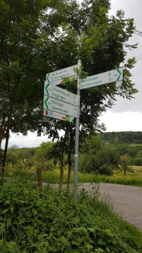 Tauberperle