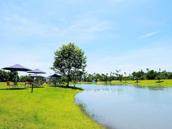 Summer Rock Villa