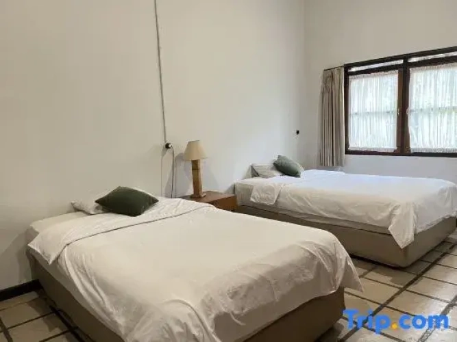 Twin Suite with garden view