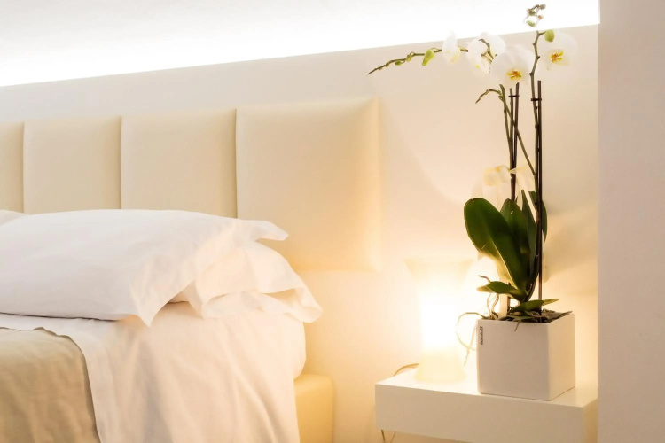Hotel Rosmarina