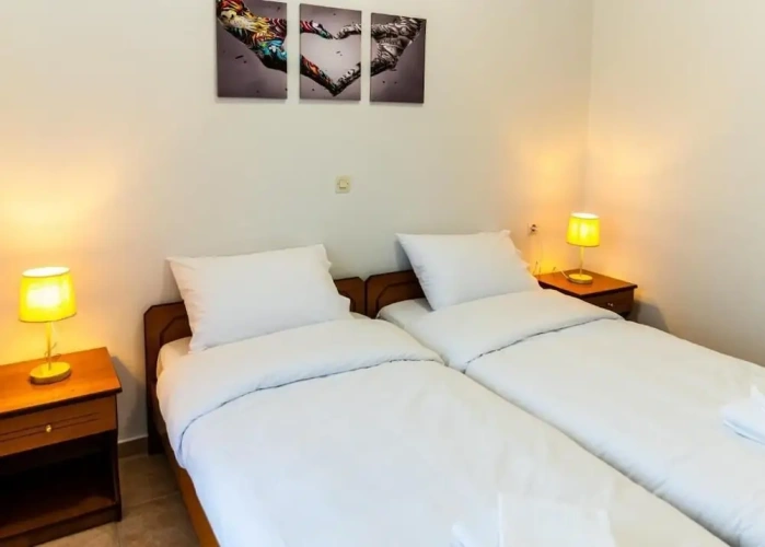 Standard Double room with balcony and with mountain view