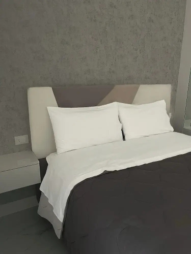 Alissa Suite