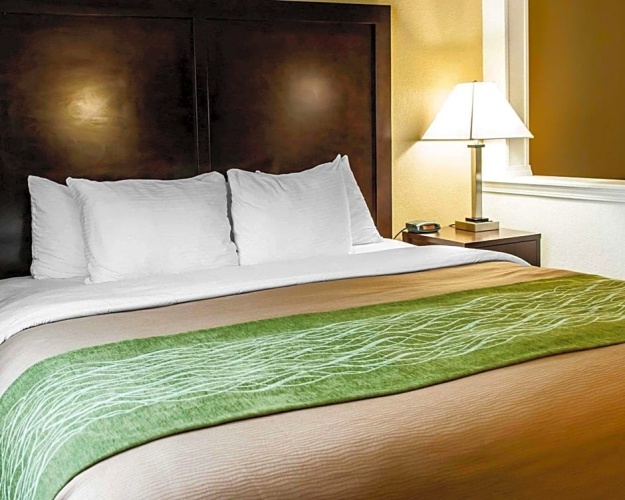 1 Bedroom Double Suite with city view
