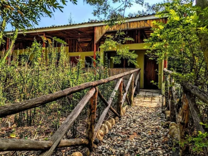 Standard Single room with balcony and with garden view