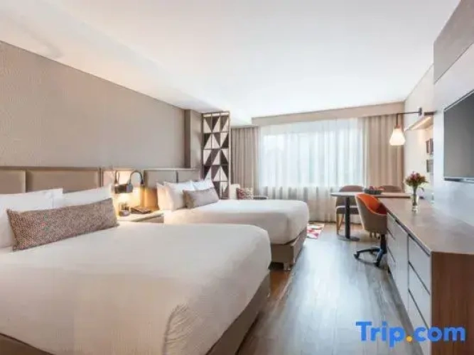 Quadruple Suite with city view
