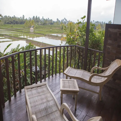 Citrus Tree Villas - Jean Francois