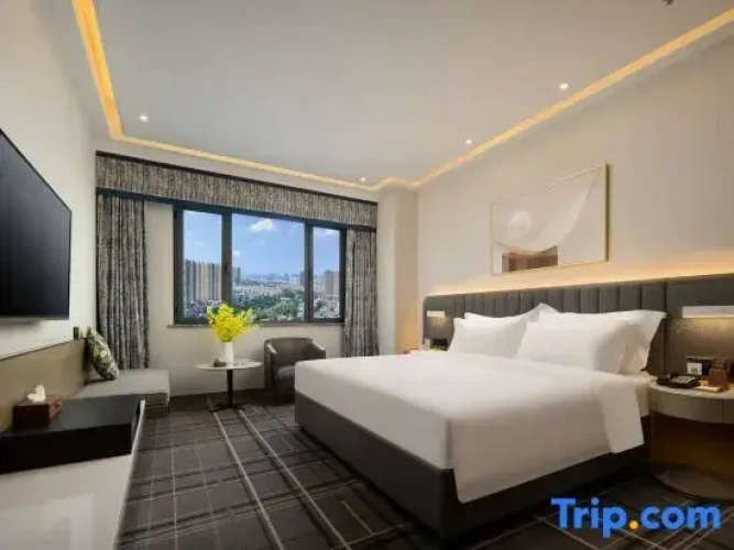 Standard Double room with city view