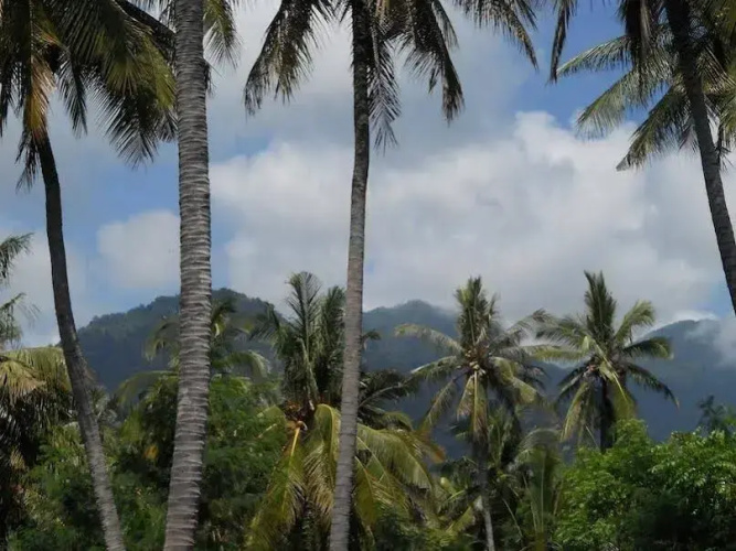 Rhipidura Bungalows