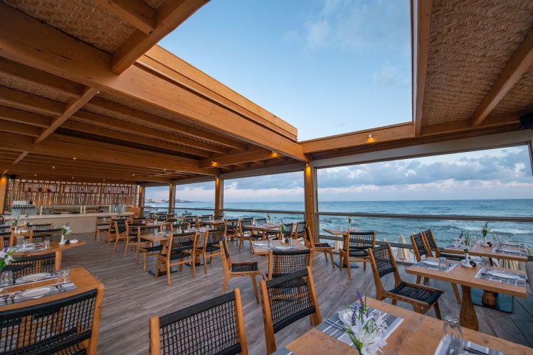 Cactus Beach Hotel photo 17