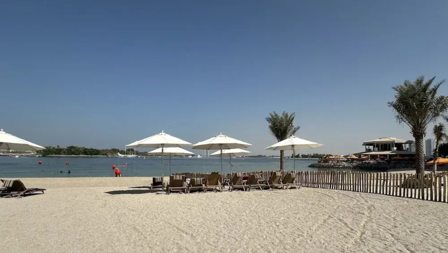Urban 1BR Palm Apt w Beach Access
