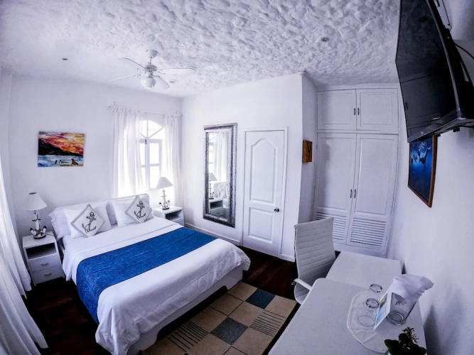 1 Bedroom Standard Double Basement room with garden view