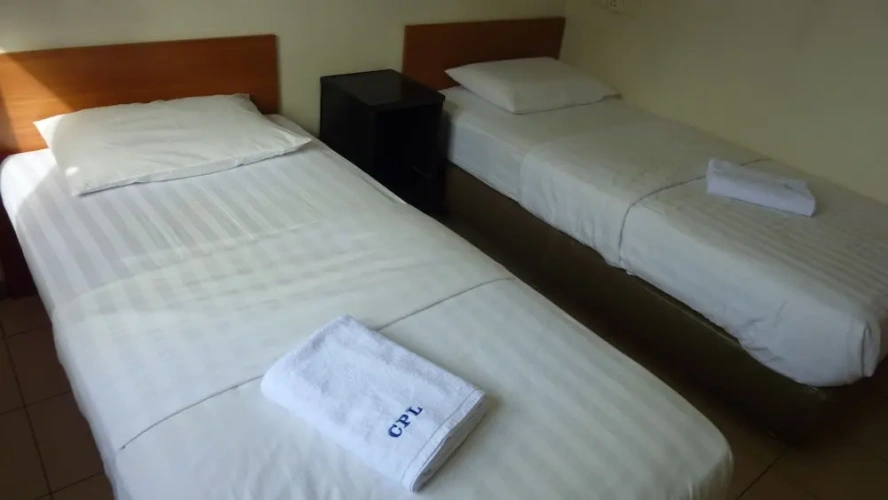 Deluxe Twin room with city view