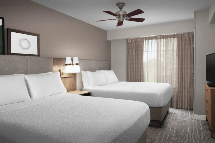 1 Bedroom Suite