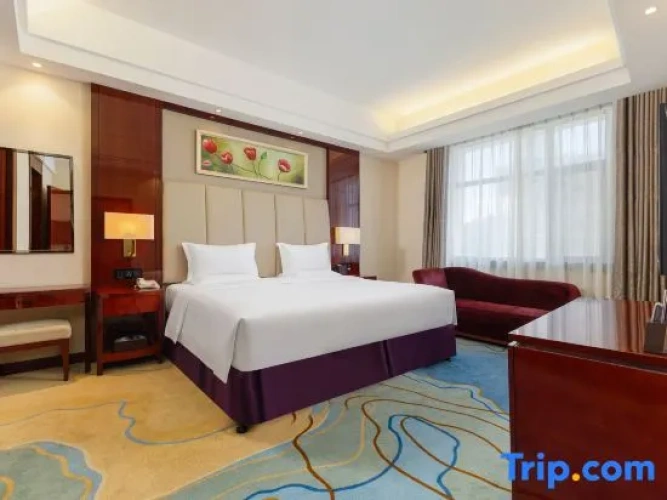 1 Bedroom Executive Suite
