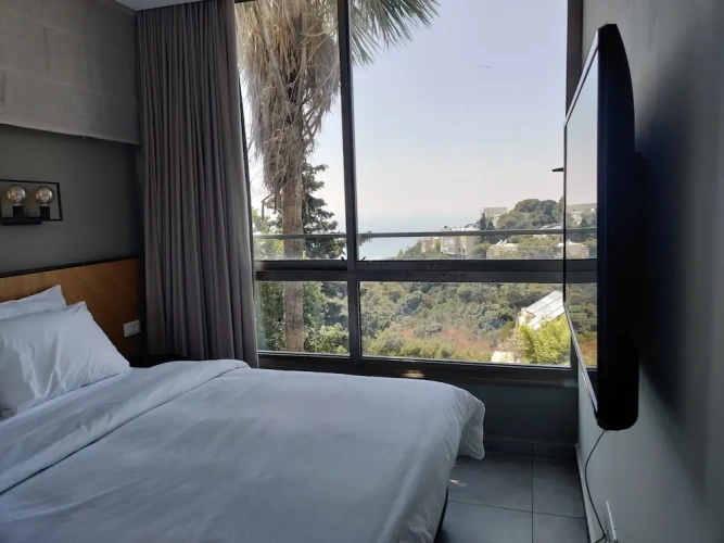 Luxury Apartment