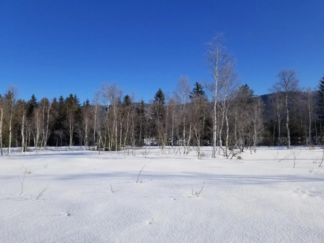 Zirbenstüberl - Chiemgau Karte