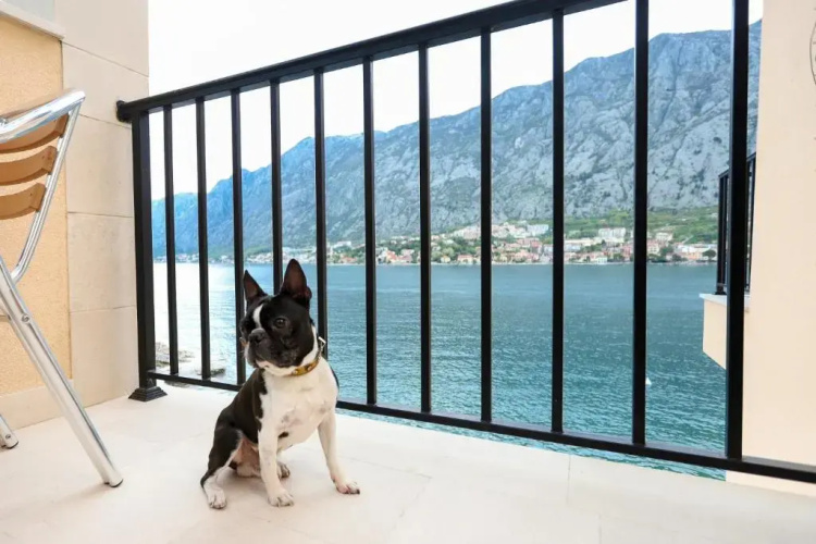 Apartments Rozer