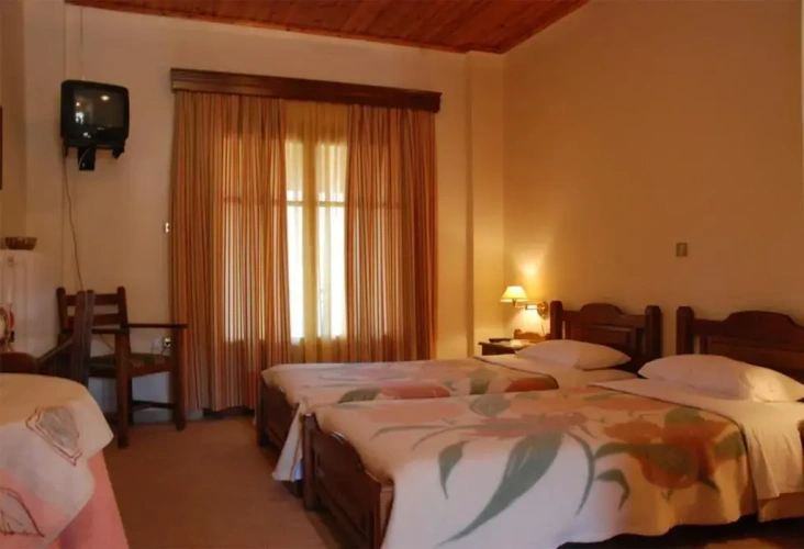 Standard Double room with balcony and with view