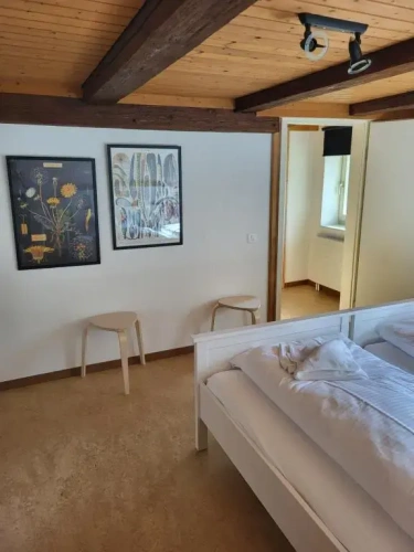 Standard Basement room
