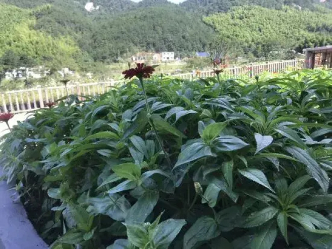 Tianzhu Mountain Huahai Hostel