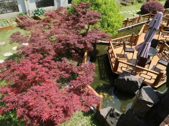 Jiayi Hotel