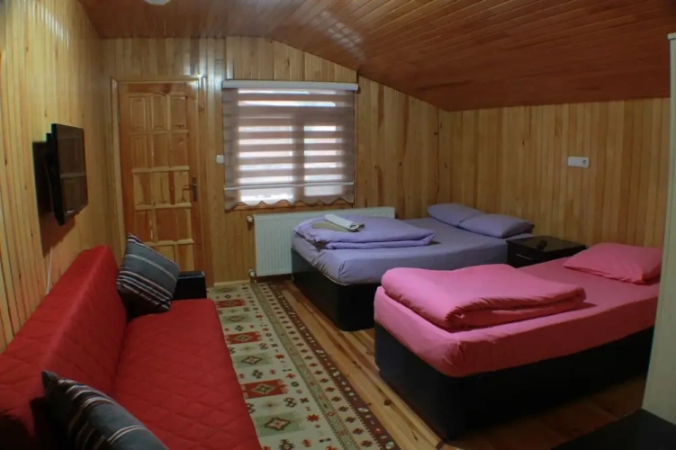 1 Bedroom Suite