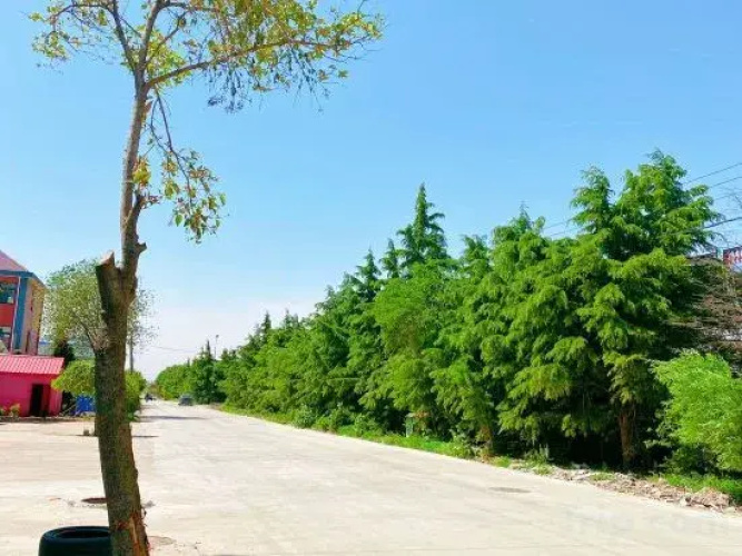 Aladdin Hotel, Jiaobei