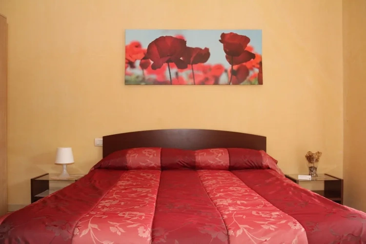 Standard Double room with balcony and with garden view