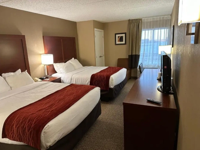Standard Double room