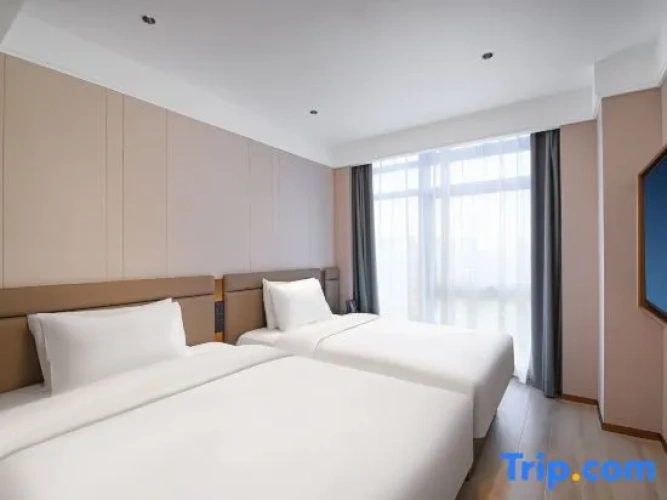 Standard Suite
