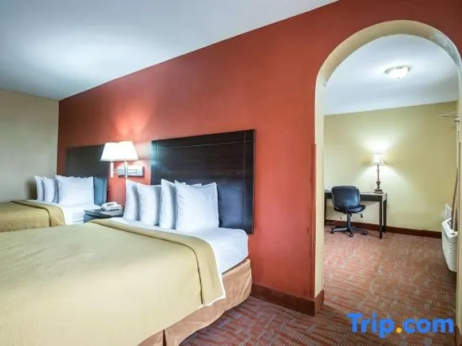 Quadruple Suite
