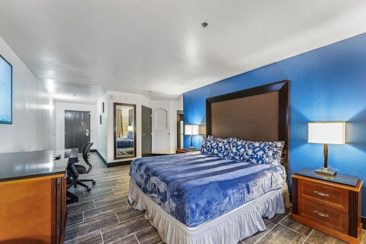 Economy Apartment