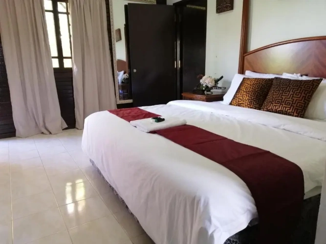 Deluxe Double room with mountain view