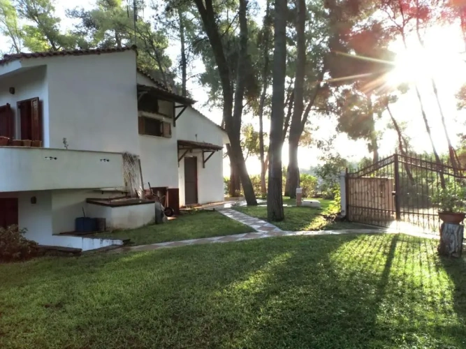 Cottage