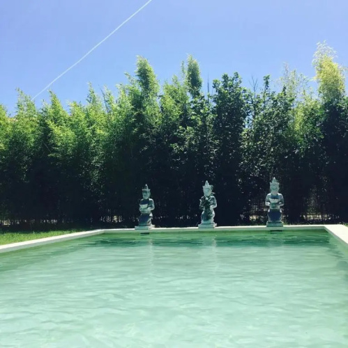 L'Islo Bamboo